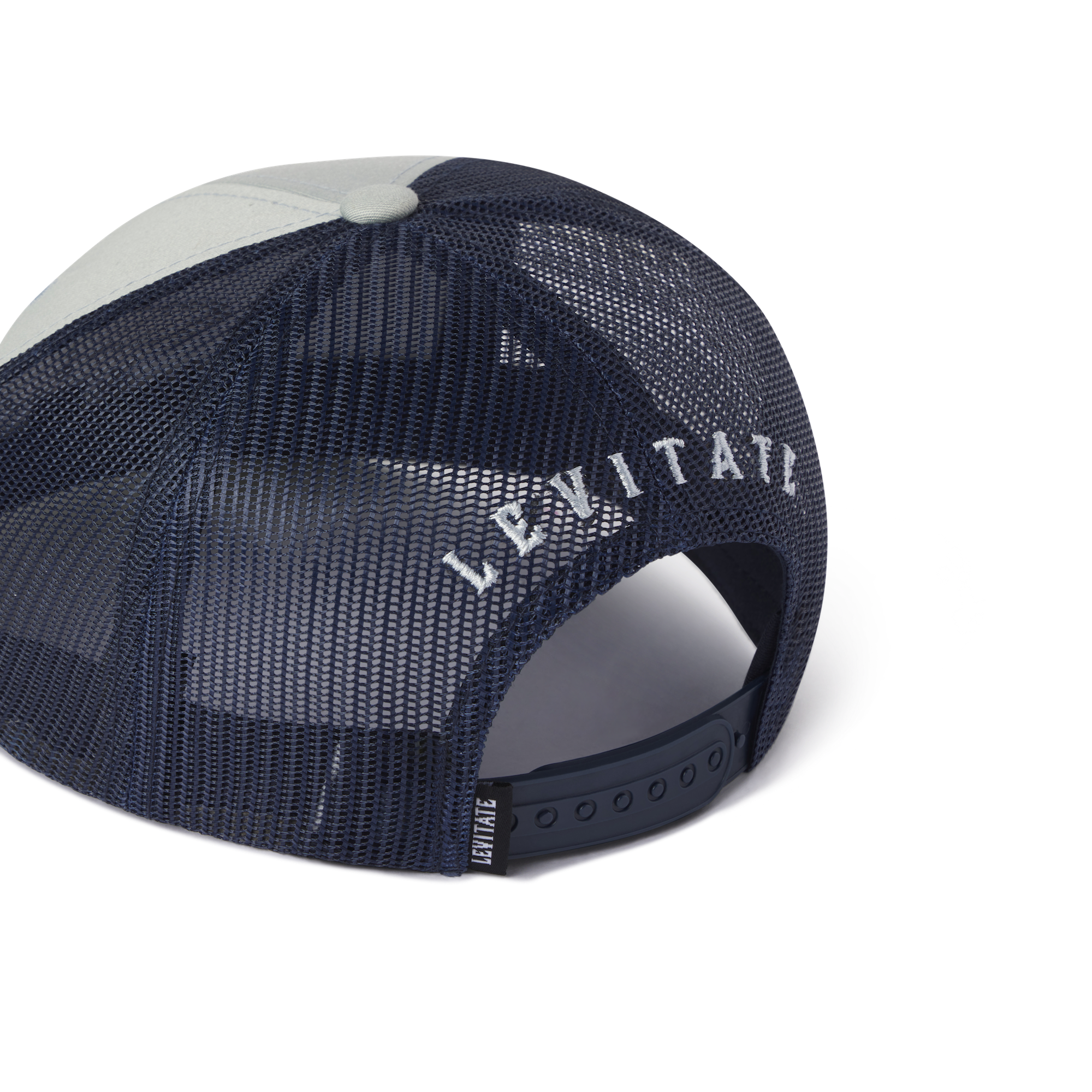 Trippy Fish Trucker - Levitate