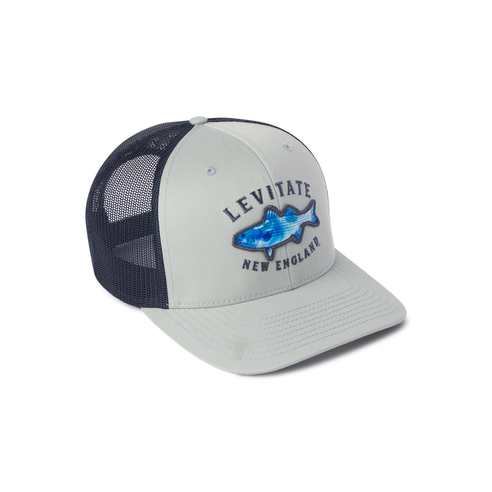 Trippy Fish Trucker - Levitate