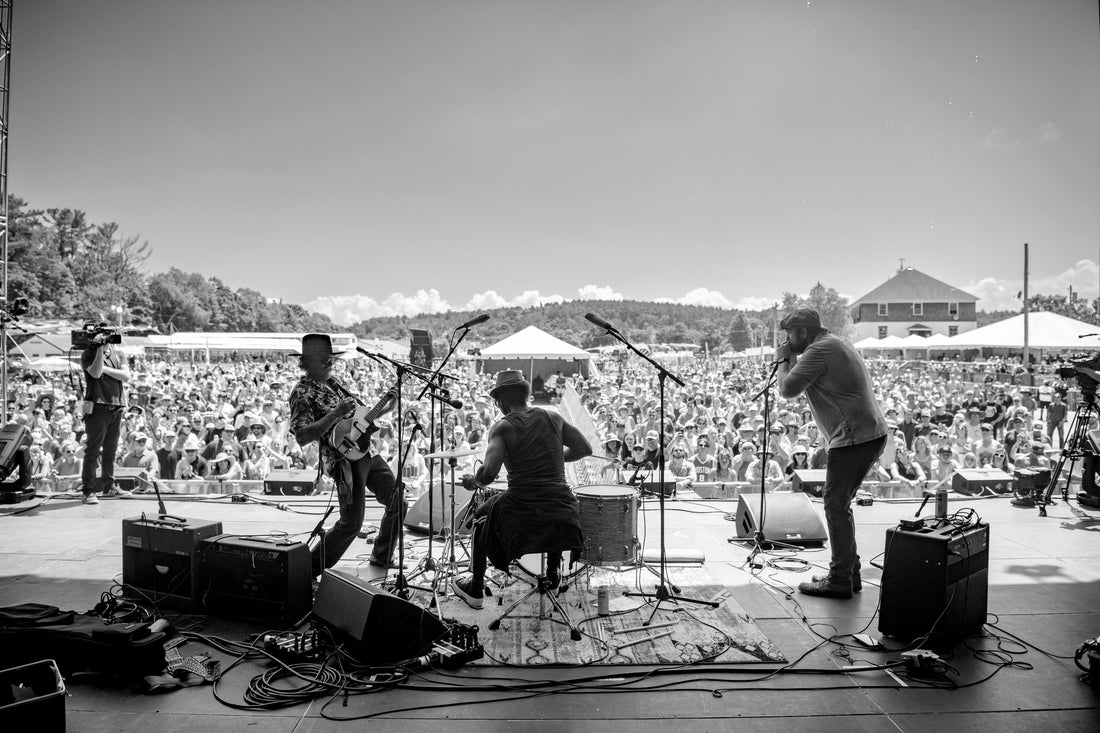 Help Us Pick Levitate Foundation's Artist Of The Year!