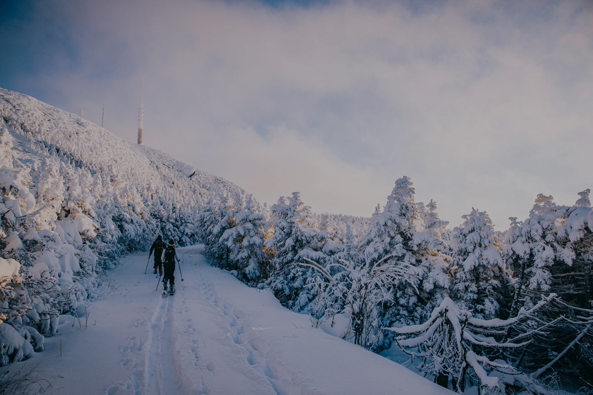 2026 Winter Favorites