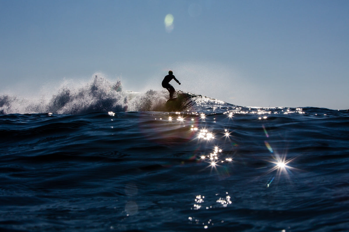 Surf + Skate
