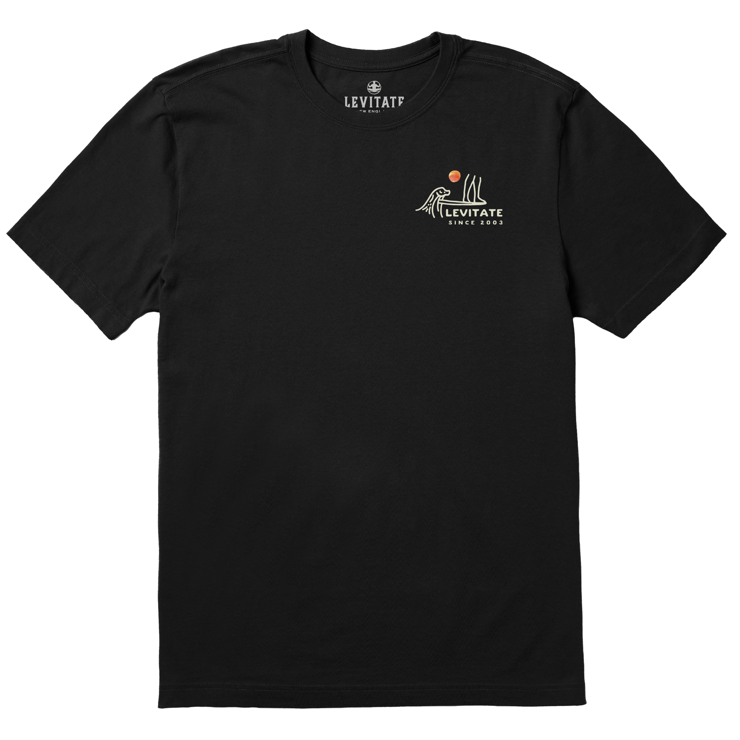 Men's Hang Ten Rays Short Sleeve Premium Tee - Levitate