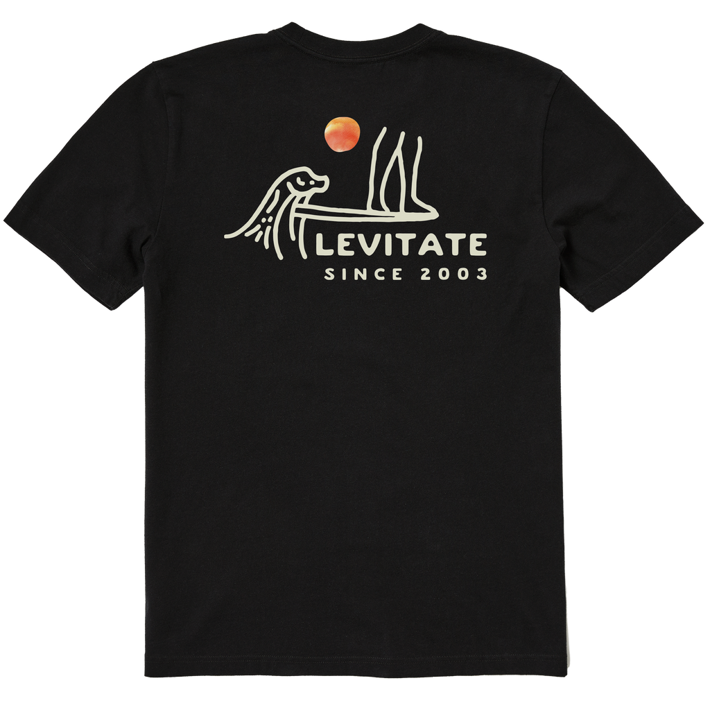 Men's Hang Ten Rays Short Sleeve Premium Tee - Levitate