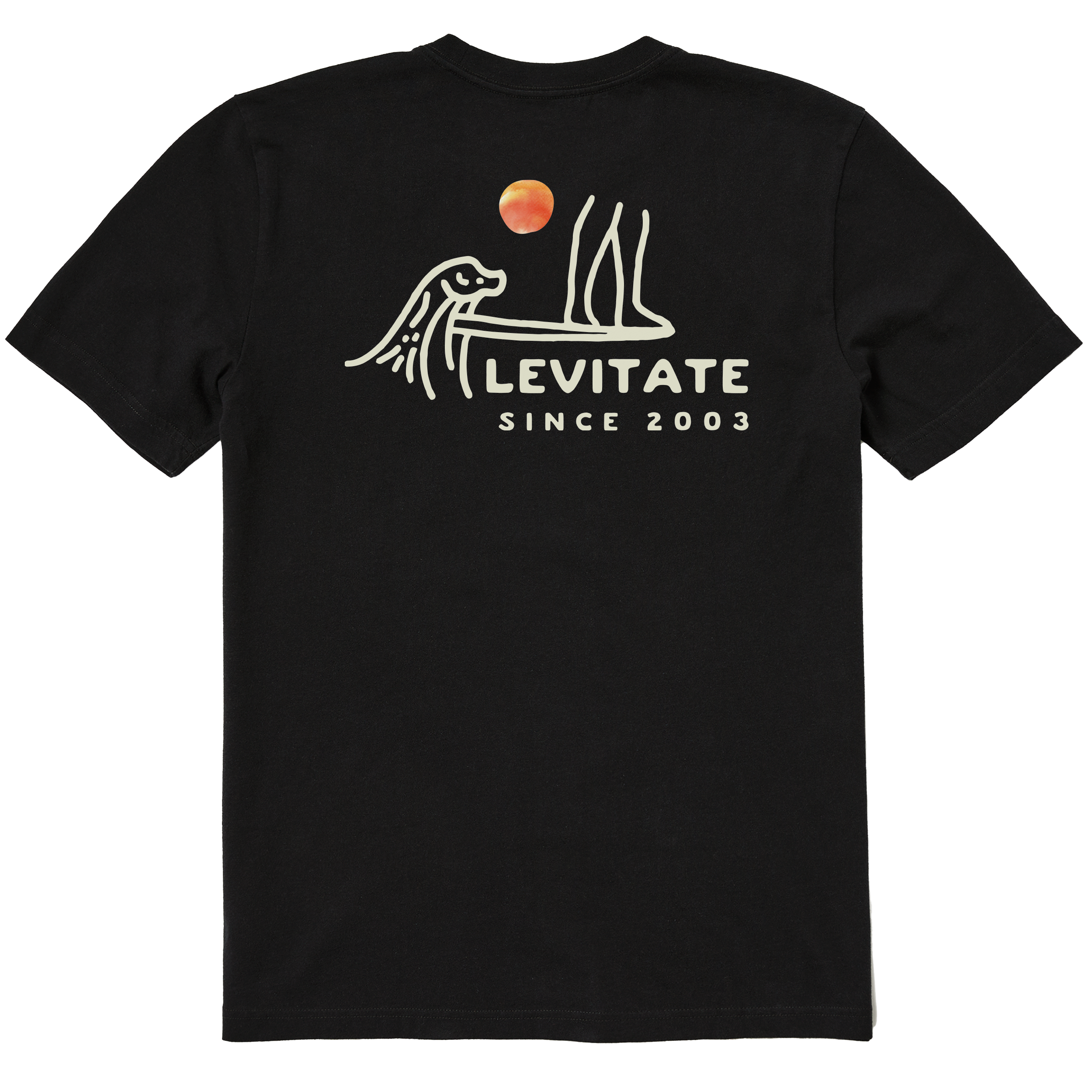 Men's Hang Ten Rays Short Sleeve Premium Tee - Levitate