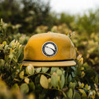 Cutback Snapback - Levitate