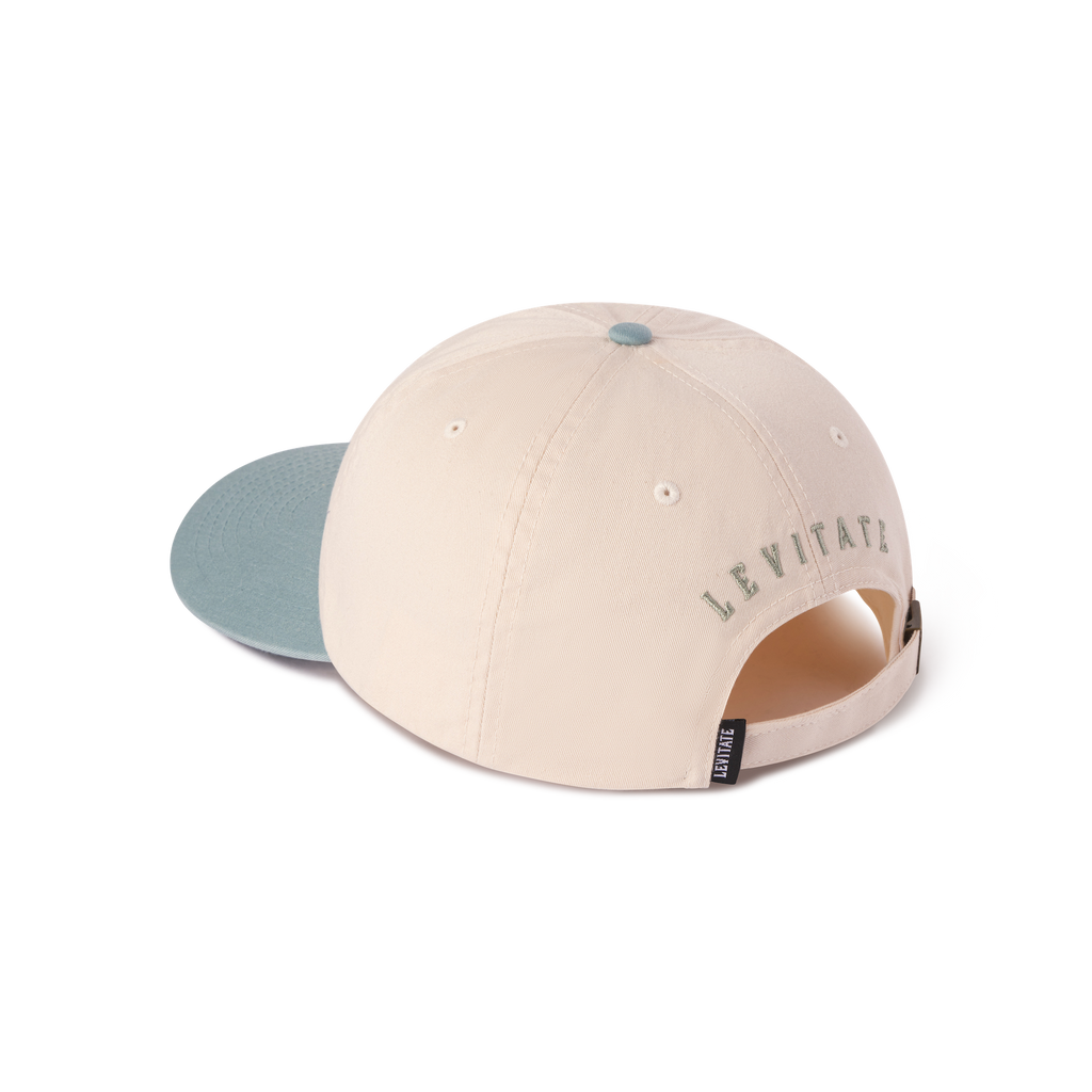 Classic Dad Hat - Levitate