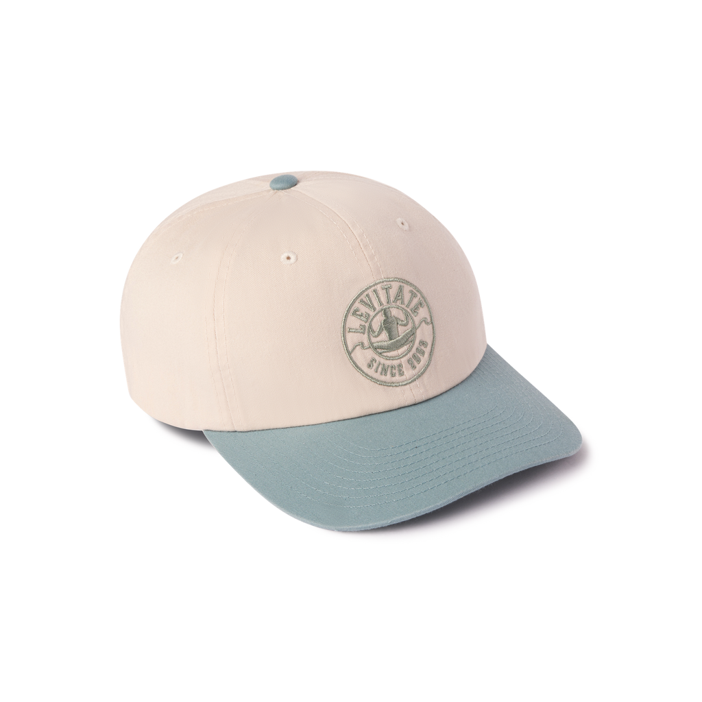 Classic Dad Hat - Levitate