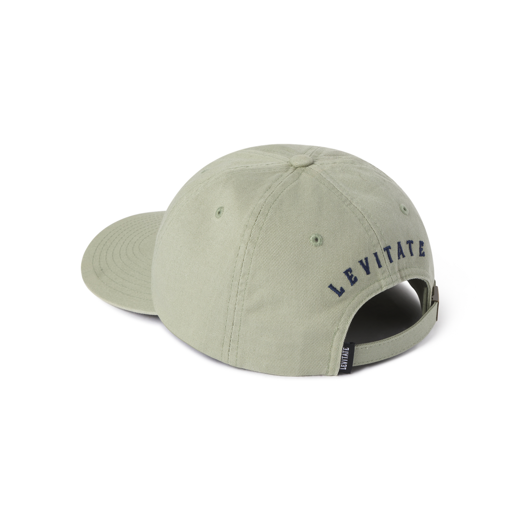 Classic Dad Hat - Levitate