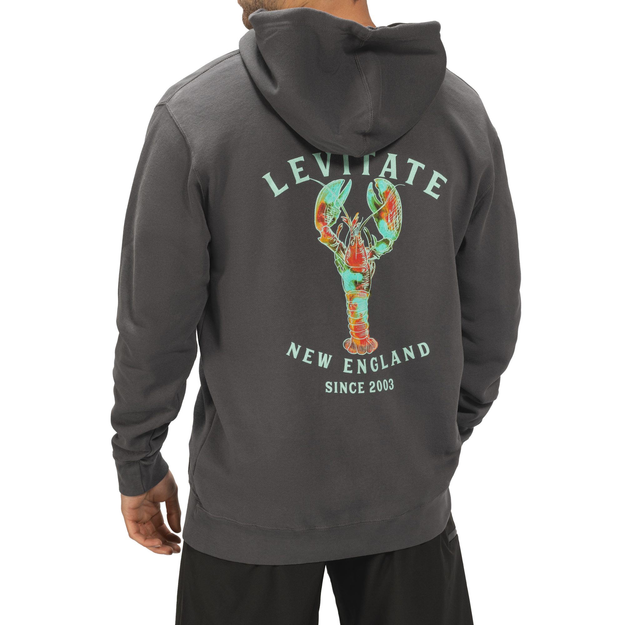 Trippy Lobster Hoodie - Levitate