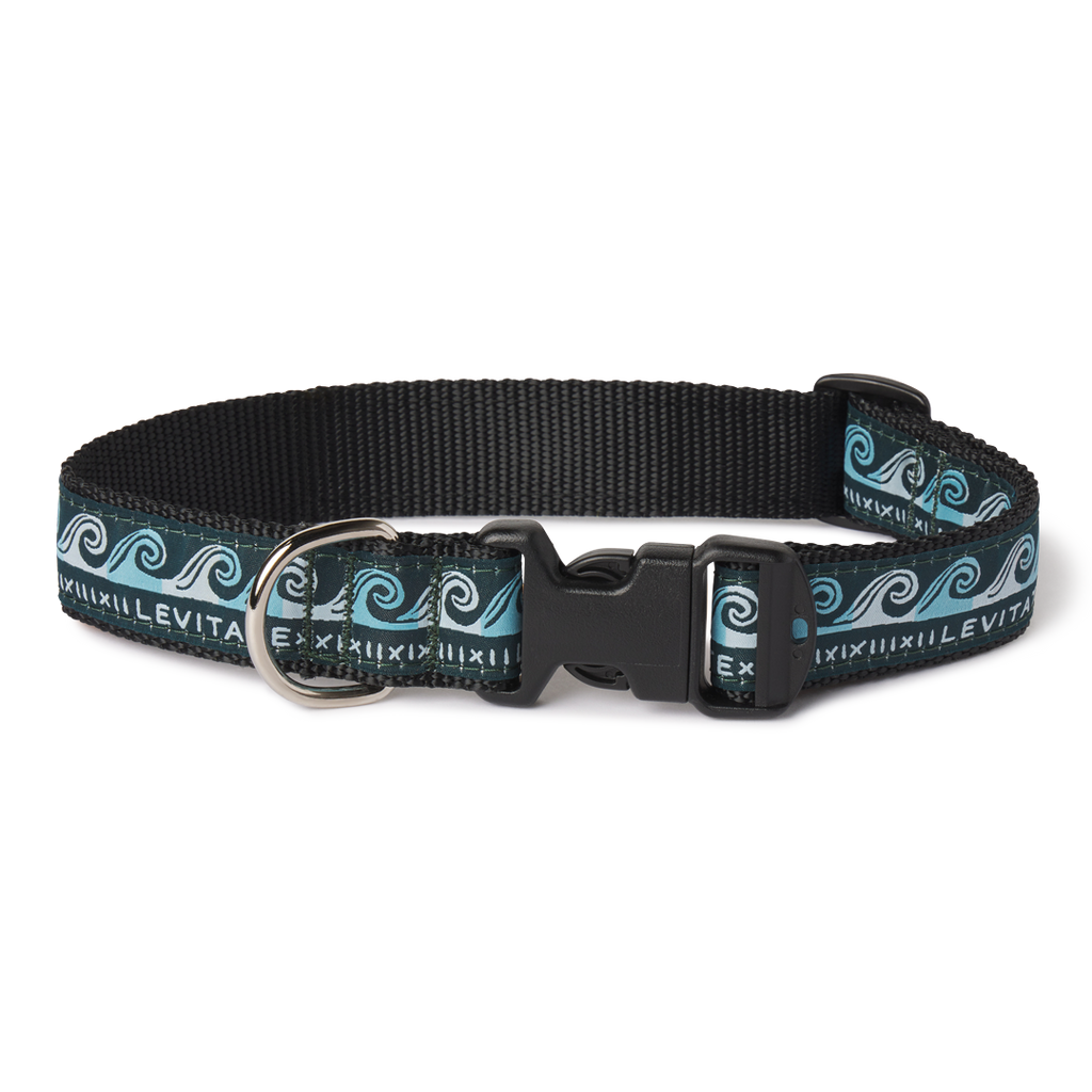 Levitate Dog Collar - Levitate