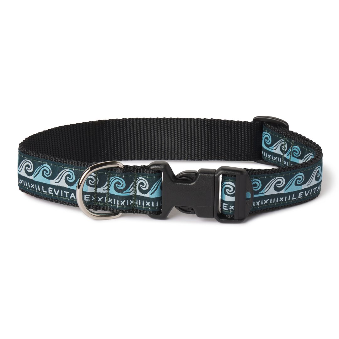 Levitate Dog Collar - Levitate