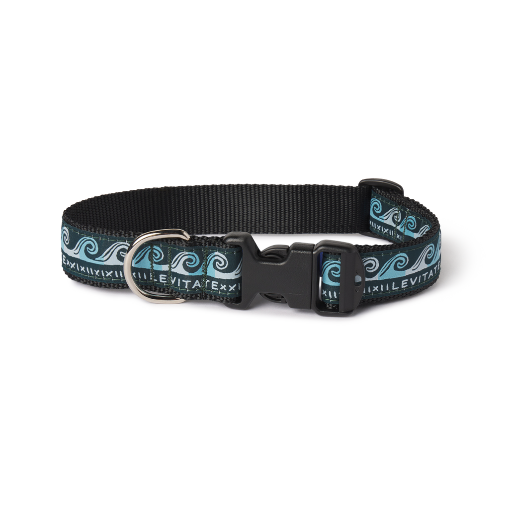 Levitate Dog Collar - Levitate