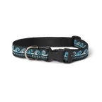 Levitate Dog Collar - Levitate