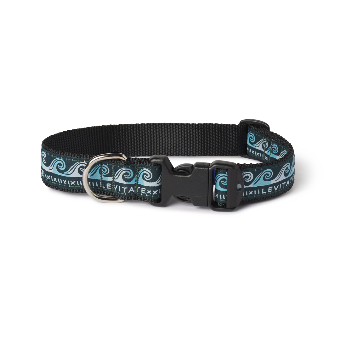 Levitate Dog Collar - Levitate