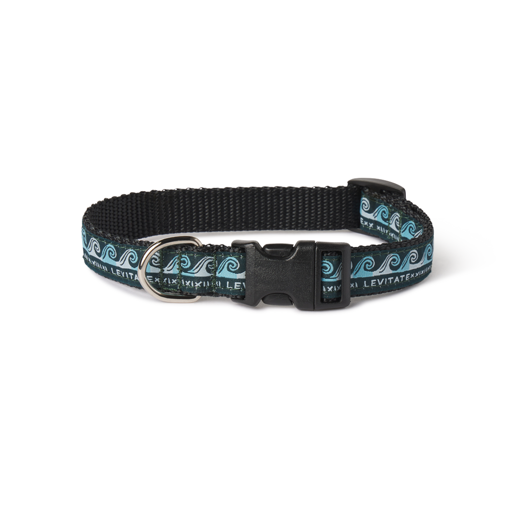 Levitate Dog Collar - Levitate