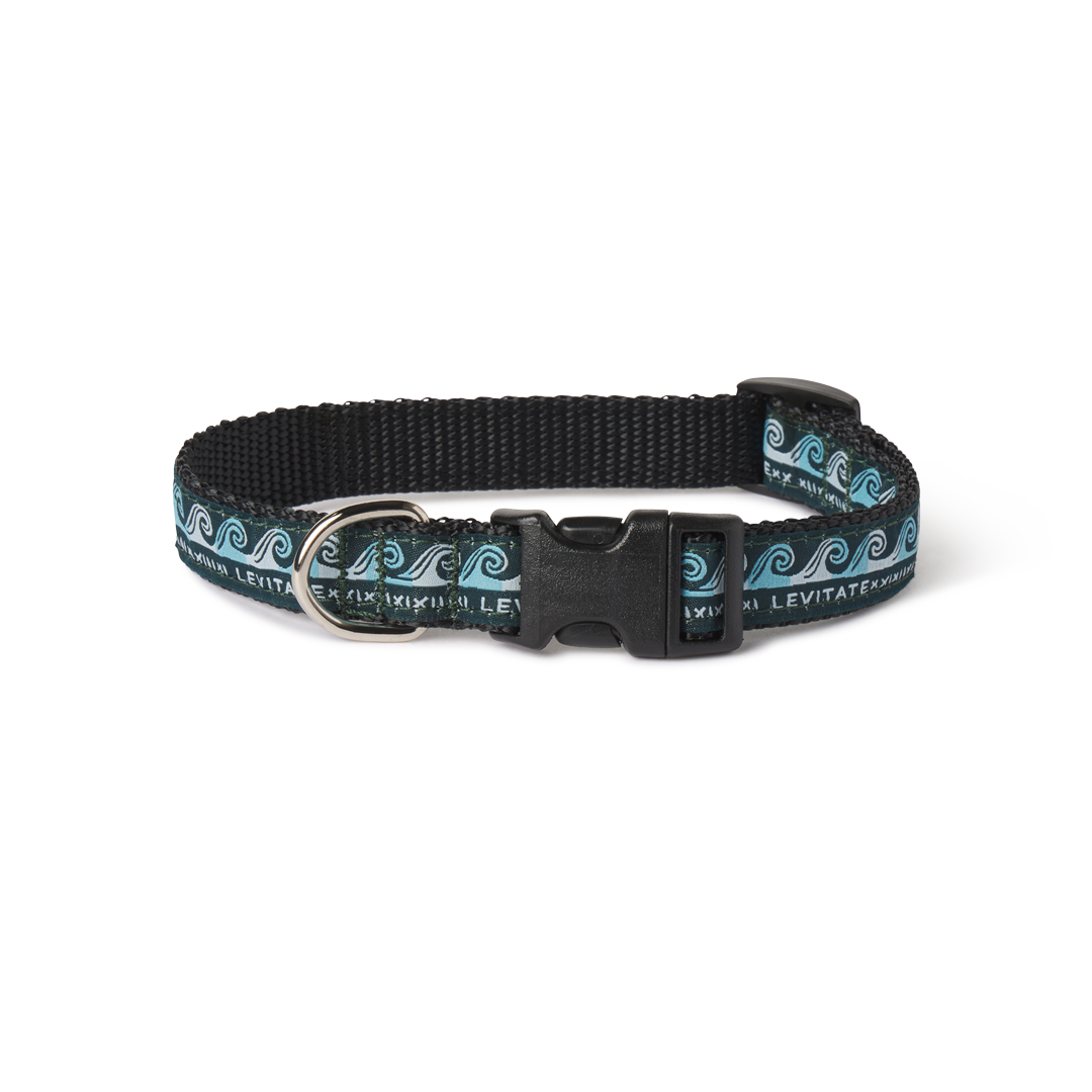 Levitate Dog Collar - Levitate
