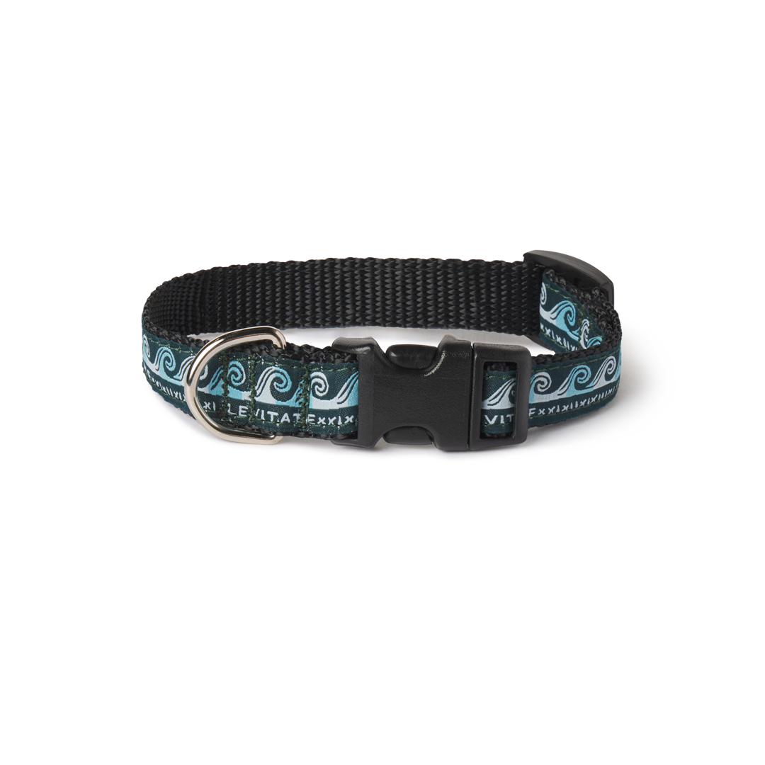 Levitate Dog Collar - Levitate
