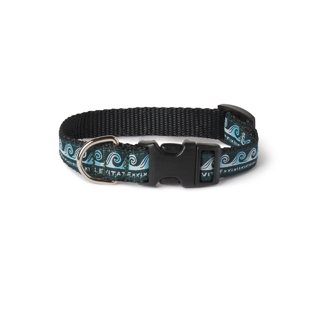 Levitate Dog Collar - Levitate