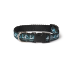 Levitate Dog Collar - Levitate