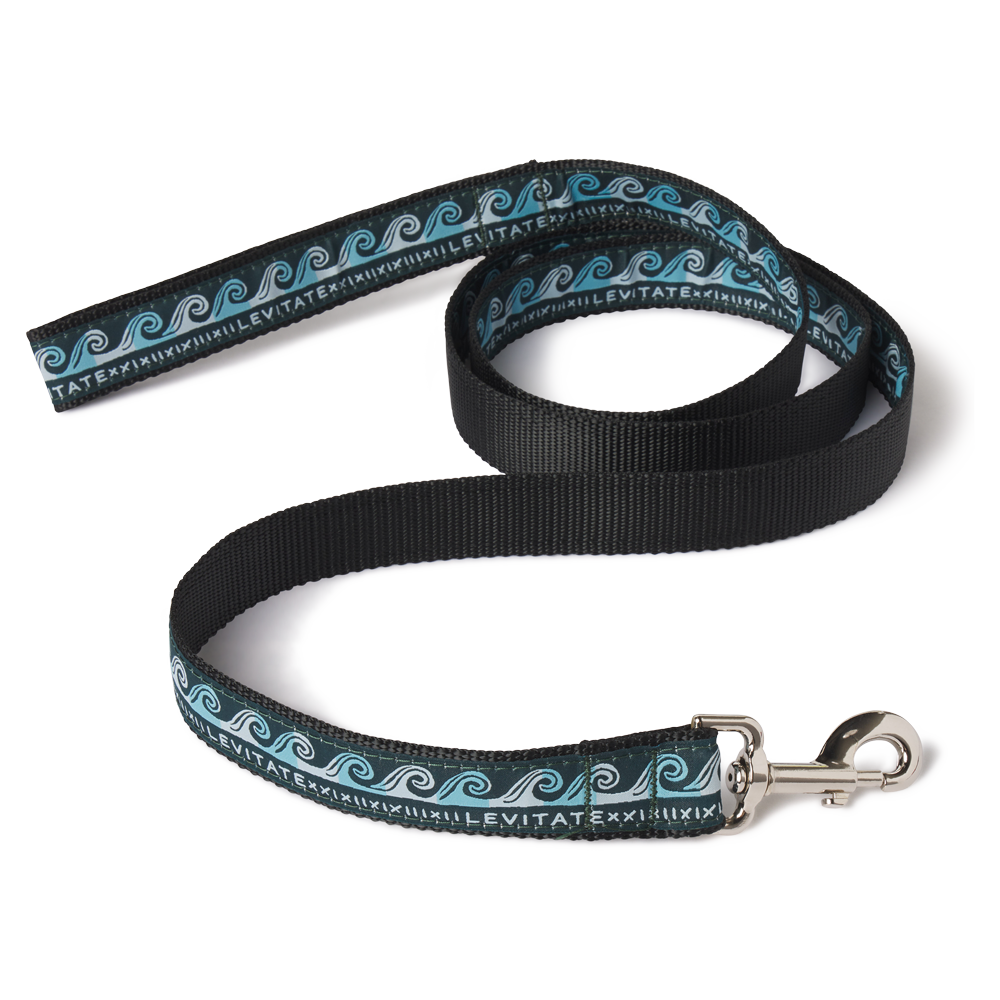 Levitate Dog Leash - Levitate