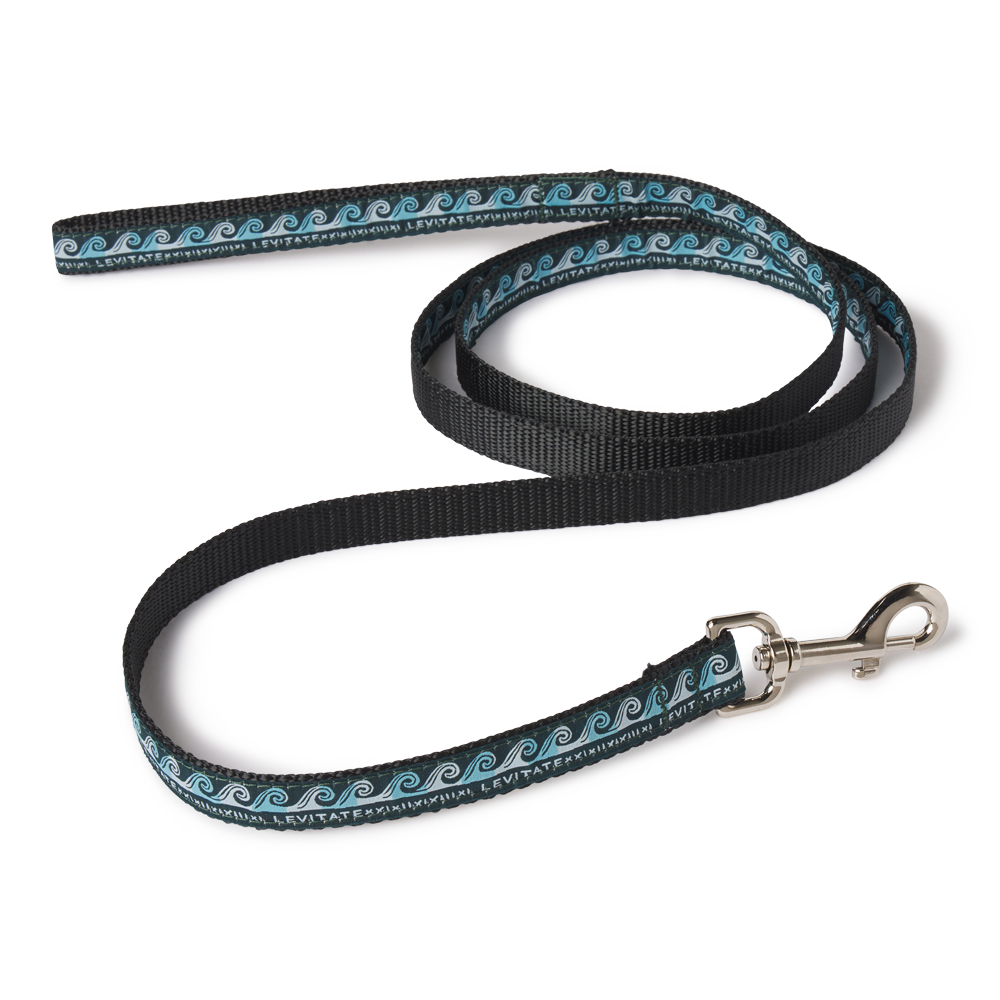 Levitate Dog Leash - Levitate