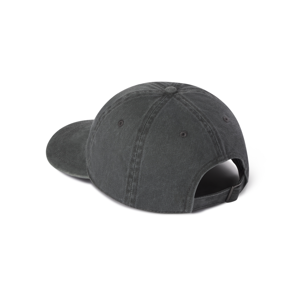 Longboard Dad Hat - Levitate