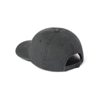 Longboard Dad Hat - Levitate
