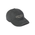 Longboard Dad Hat - Levitate