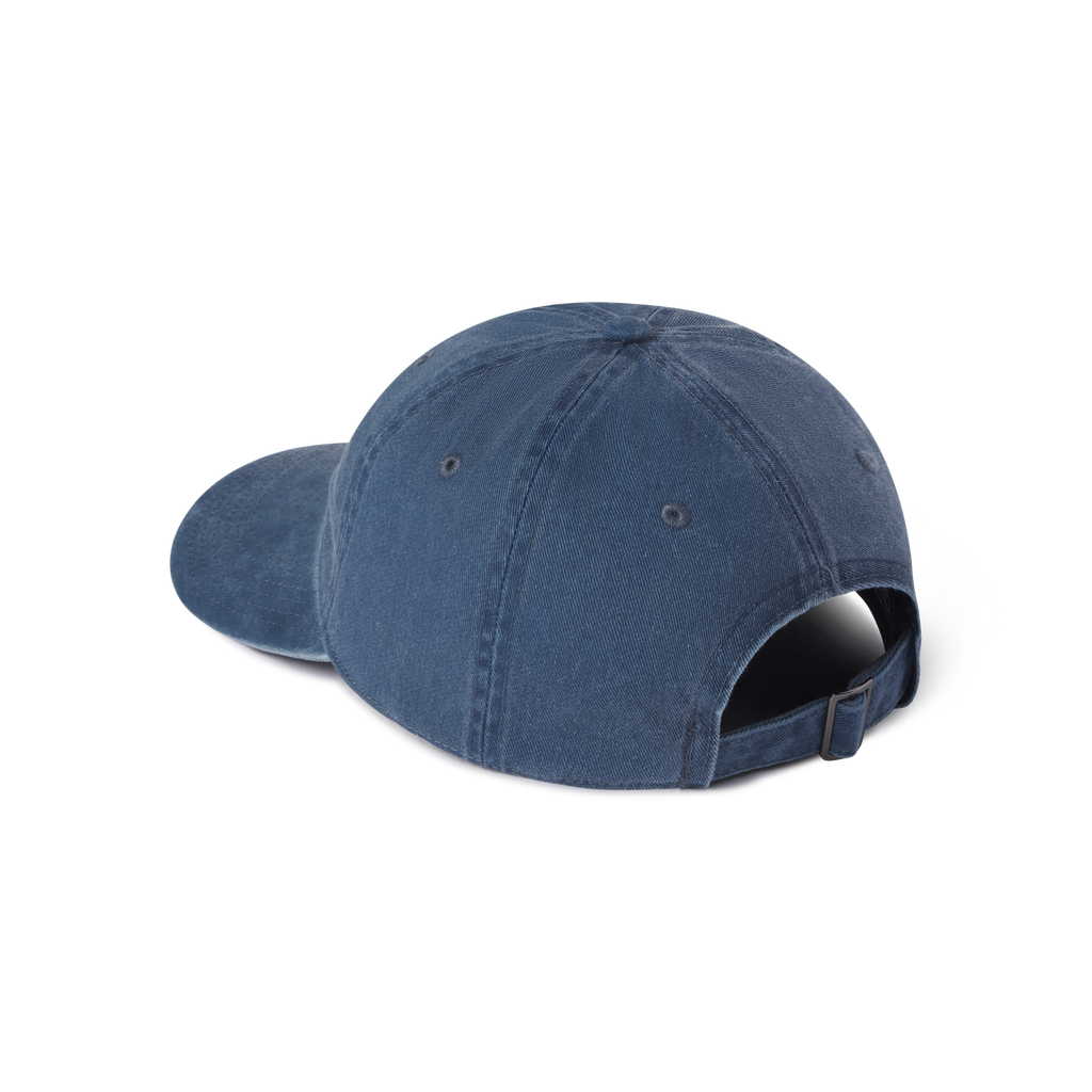Longboard Dad Hat - Levitate