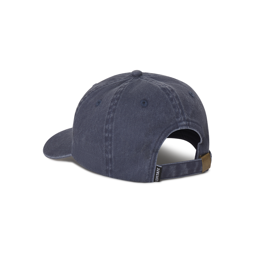 Levitate Surfboards Dad Hat