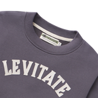 Men's Old School Crew - Levitate