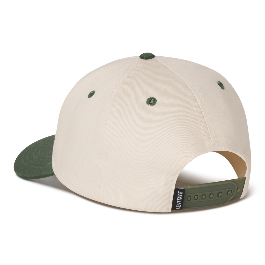 Levitate x Ripe 5 Panel