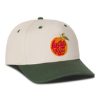 Levitate x Ripe 5 Panel