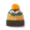 Logo Hunt - Turtle - Pom Beanie