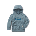 Longboard Youth Hoodie - Levitate