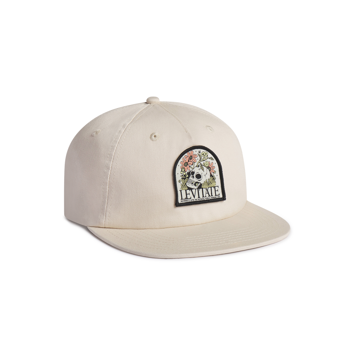Reconnect Strapback