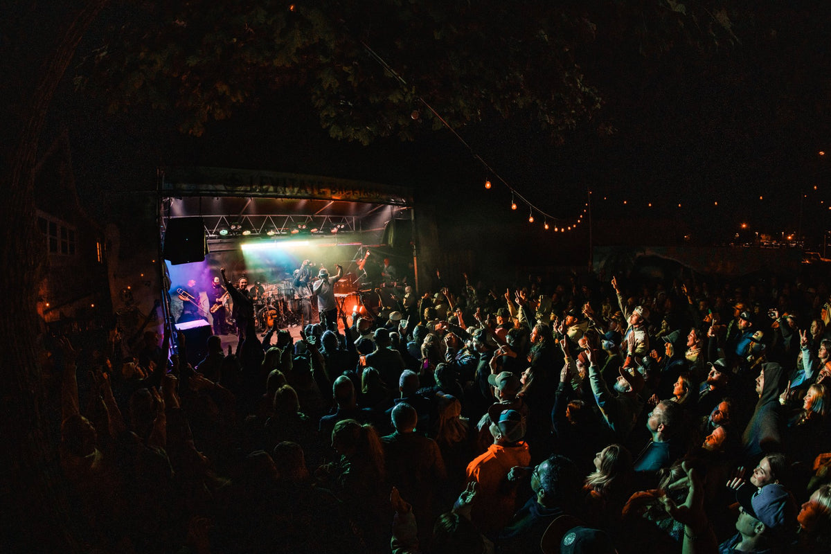 View from the back of the packed Levitate Backyard crowd with hands up toward the stage on night three