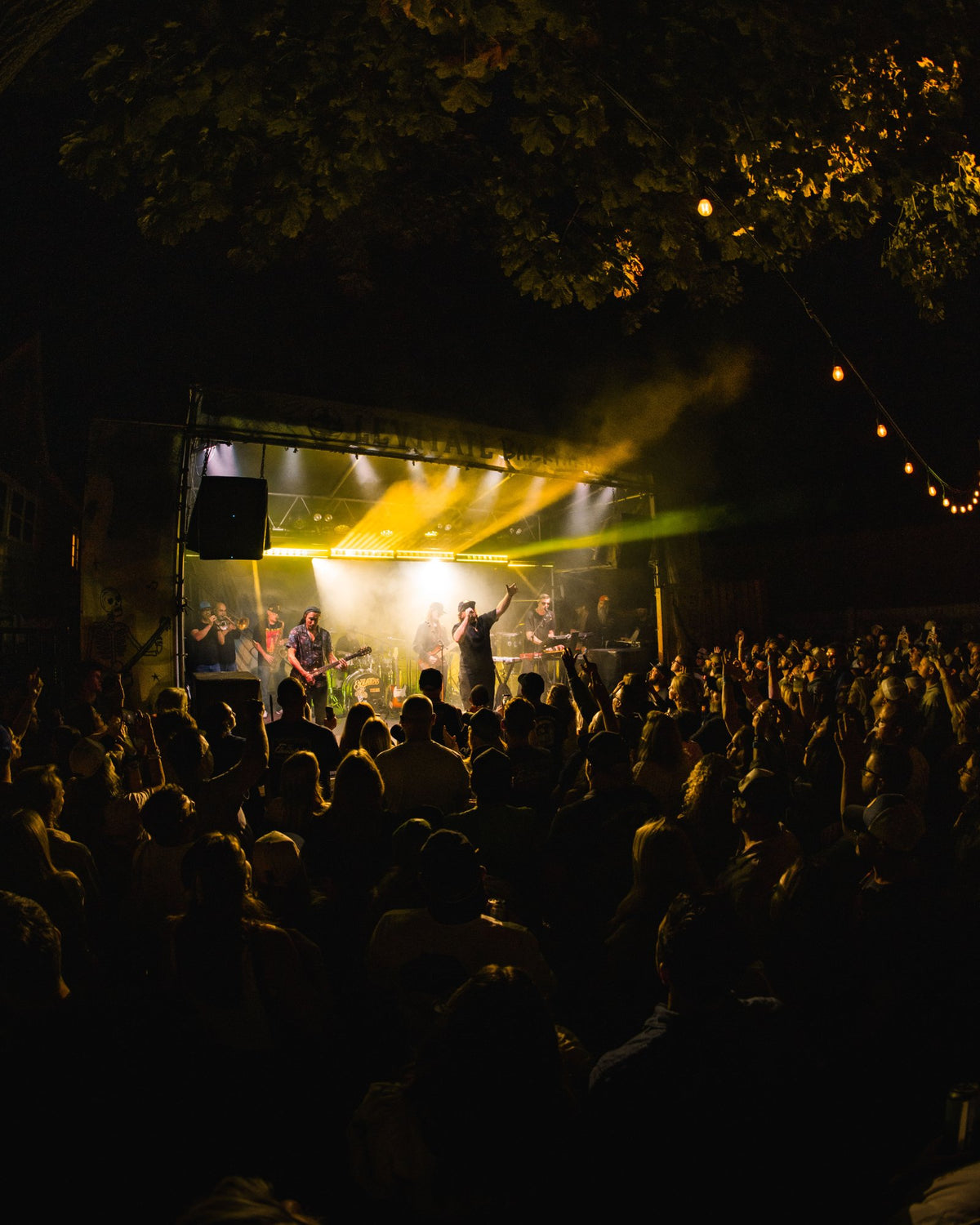 Wide shot of the sold-out Levitate Backyard crowd facing a lit stage during The Elovaters' set