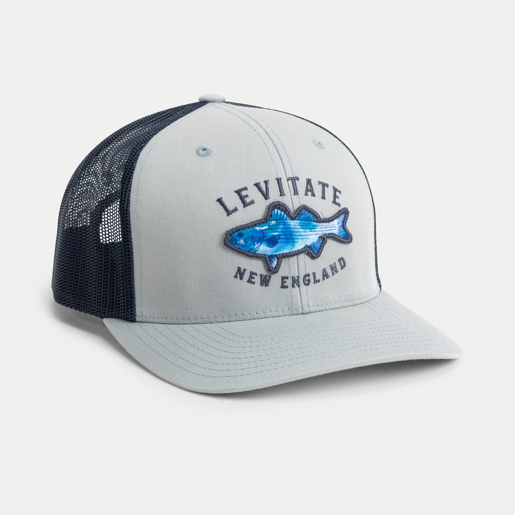 Trippy Fish Trucker - Grey - Levitate